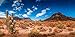 BannersNStands Reptile Habitat, Terrarium Background, Blue Sky with Mountains & Cactus - (Various Sizes) (18