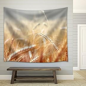 Spikelets of Wheat, Illuminated by Bright Sunshine. Wheat Field - Fabric Wall Tapestry Home Decor - 51x60 inches