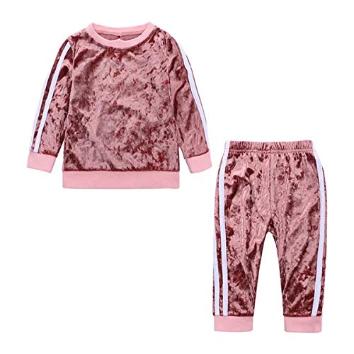 TAOJIAN 2 Pcs Fashion Infant and Toddler Baby Girls Velvet Clothes Outfit Pant Set Casual Outfit (3-4Years, Pink)