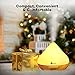 Diffusers for Essential Oils, TaoTronics 300ml Ultrasonic Humidifiers with Wood Grain, Cool Mist Aroma Diffuser with 7 Colors, Low Water Auto Shut-off, Up to 6 Hours Timer