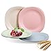 iTavah Microwave Plates for Baby Feeding (4-Pack) 7.28