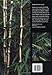 Bamboo for Gardens