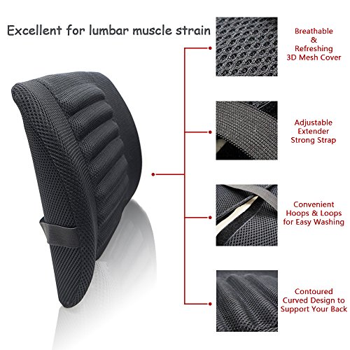 LOCEN Relief Lumbar Muscles Cushion Lower Back Pain Comfort Support Pillow - Perfect for Car Office Chair Home Sofa (Black)
