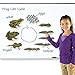 Learning Resources Giant Magnetic Frog Life Cycle