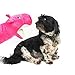 Barkology Helga the Hippo Hand Puppet