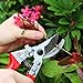 4-FQ Pruning Shears Garden Shears SK-5 Steel Blade Garden Ratchet, Hand Pruners with Ergonomic Grip & Safety Lock, Bypass Pruners,Tree Trimmers Secateurs,Clippers for The Garden Plants,Flowers.