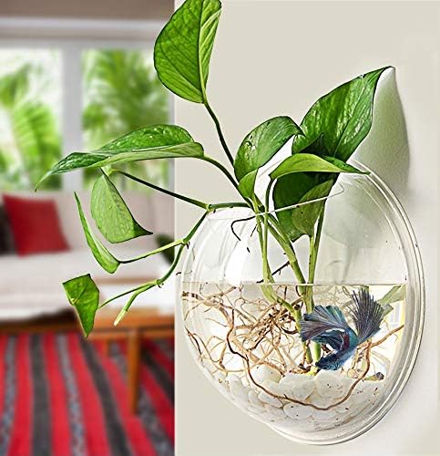 PRUGNA Wall-Hanging Fish Bowl Acrylic Wall-Mounted Plant Pot