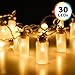 DecorNova 30-LED Battery Operated Glass Jar Fairy String Lights for Bedroom Wedding,Warm White,7.8 Feet