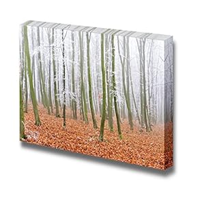 Landscape of a Forest with Fog with Yellow Leaves