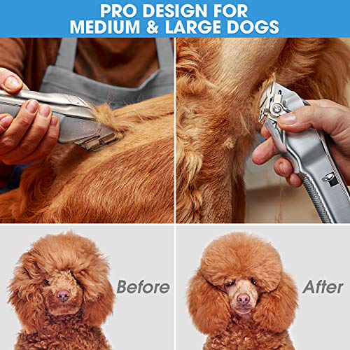 professional poodle clippers