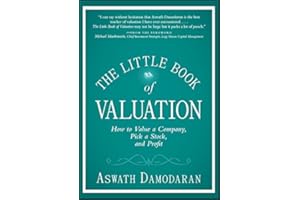 The Little Book of Valuation: How to Value a Company, Pick a Stock and Profit (Little Books. Big Profits)