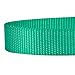 Blueberry Pet Essentials Emerald Dog Leash for X-Small -5' * 3/8