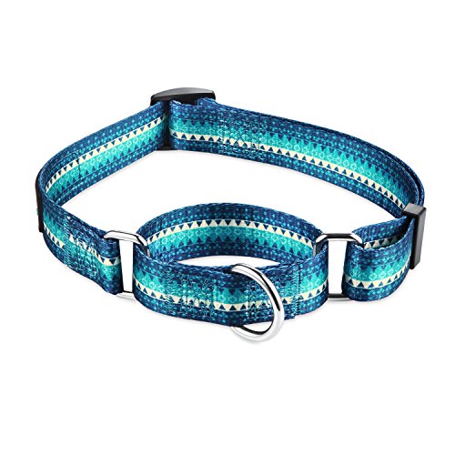 Martingale Collars for Dogs Durable Dring Heavy Duty No Pull No Escape