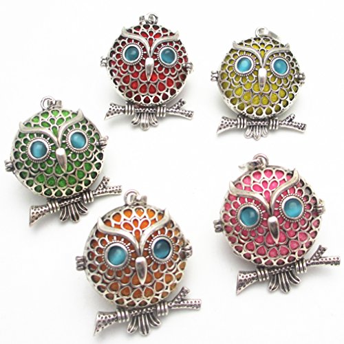 Dandan DIY 5pcs Owl Bird Brass Hollow Cage Locket Perfume Essential Oil Aromatherapy Diffuser Charms Owl Hollow Pendant Craft Diffusion Ball (Owl-1)