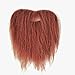 Amscan 840909 Beard and Moustache Costume Accessory | 1 Piece