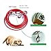 Lylyzoo Dog Tie Out Cable 16ft and Spiral Stake, with Anti-Winding Metal Ring and 2 Clasps, for Yard, Camping and Outdoors, Bowknot Tie as Gift, Small to Medium Pets Up to 40lb