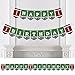 Big Dot of Happiness - End Zone - Football - Birthday Party Bunting Banner - Sports Party Decorations - Happy Birthday