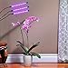 Grow Lights for Indoor Plants - Full Spectrum Red and Blue LED Grow Light - Small Gooseneck Lamp with Clamp and Timer - for Herb Garden, House Plant, Succulent, Cactus, Flowers, Bonsai Tree