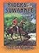Riders of the Suwannee: A Cracker Western