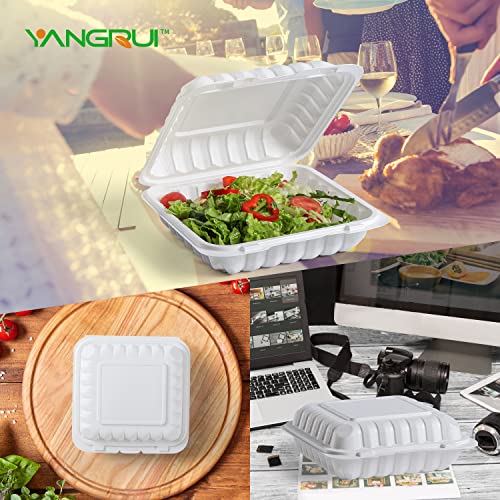 YANGRUI To Go containers, 100 Pack 9 x 9 Inch 41 OZ Shrink Wrap