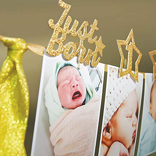 First Birthday Photo Banner First Birthday Decoration Great for One Year Old Celebration Party Supplies