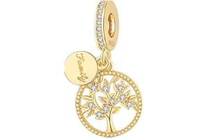 BIZK 925 Sterling Silver Charm for Bracelets and Necklaces Charms for Women Fashion Jewelry for Women Friend and Mother