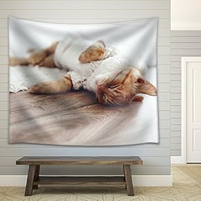 Cute Little Ginger Kitten Wearing Warm Knitted Sweater is Sleeping on The Floor - Fabric Wall Tapestry Home Decor - 51x60 inches