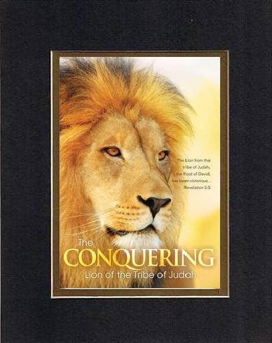 The Conquering: Lion of the Tribe of Judah - Revelation 5:5. . . 8 x 10 Inches Biblical/Religious Verses set in Double Beveled Matting (Black on Gold) - A Timeless and Priceless Poetry Keepsake Collection