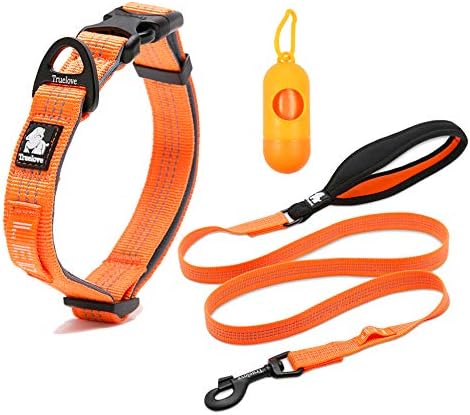 orange dog collar and leash
