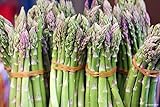 10 Mary Washington Improved Asparagus Roots - Heirloom Variety/Superior Flavor