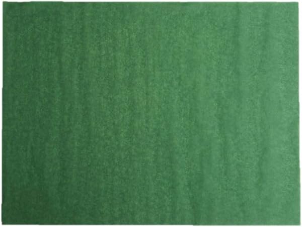 Amazon 薄口 大 グリーンパーチ 魚 肉 紙 薄紙 緑の紙 保存 熟成保存 業務用 耐水紙 包装紙 500枚 Luty ルティ キッチンペーパー