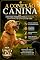 Livro A CONEXÃO CANINA: Diretrizes Modernas para a Escolha, Convivência e Educação de Cães