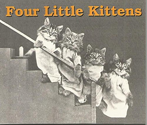four little kittens