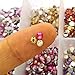 Summer-Ray 3mm Assorted Color AB Rhinestones in Storage Box