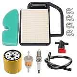 Mckin KH-20-083-02-S KH-20-883-02-S1 Air Filter + KH-52-050-02-S KH-52-050-02-S1 Oil Filter Tune Up Kit fits Cub Cadet LT1042 LT1045 LTX1040 LTX1042 LTX1045 RZT42 Toro 98018 LX420 LX460 Lawn Mower