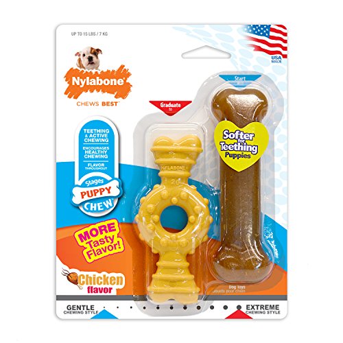 Nylabone Puppy Chew Chicken Puppy Toy Twin Pack, X-Small