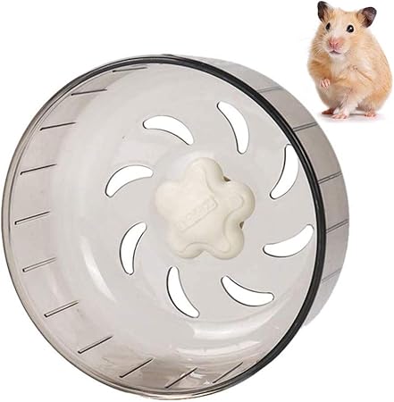 mice hamster
