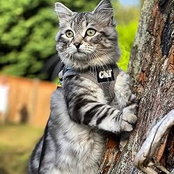 Travel Cat Harness and Leash Set - Adjustable Soft
