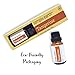 Tangerine Essential Oil by Simply Earth - 15 ml, 100% Pure Therapeutic Grade