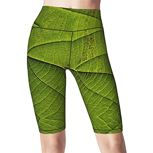 Inaayayi Hoge Taille Yoga Shorts Groen Blad Eco Textuur Creatieve Groene Blad Texturen Vrouwen Bike Shorts Tummy Control… - Image 4