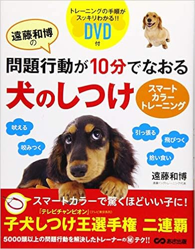 超人気新品 遠藤和博の問題行動が10分でなおる犬のしつけ スマートカラートレーニング 4f7754f1 アウトレット オンラインセール Cfscr Com