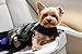 WOODMARK Anti baBarking Box Anti Bark Device Animal Safety Seat Belt Strap - (Cherry)