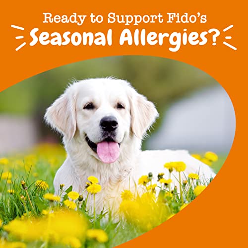 Zesty Paws Dog Allergy Relief Anti Itch Supplement Omega 3 Probiotics for Dogs Salmon Oil