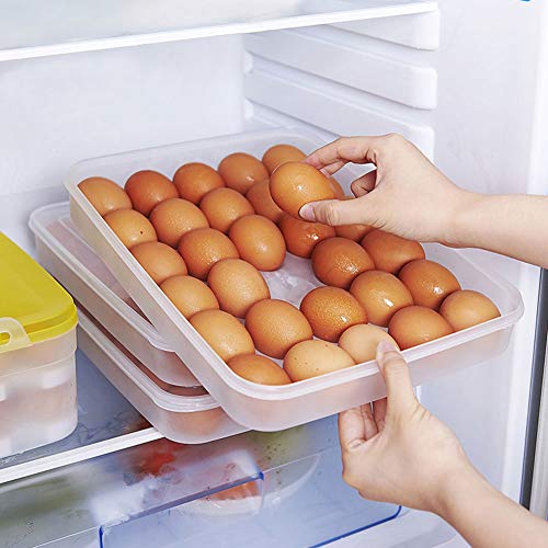 HANSGO Egg Holder for Refrigerator, Deviled Egg Tray Carrier with Lid