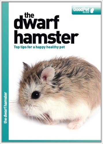 hamster pet guide