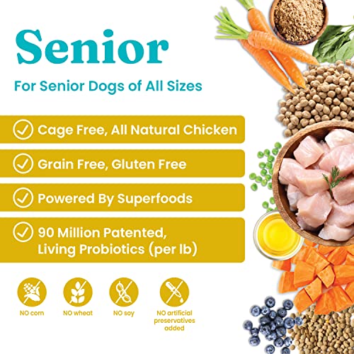 Solid Gold Young at Heart Senior Dog Food with Real Chicken Grain