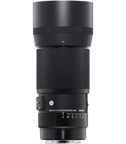 Amazon.com : 70mm F2.8 Art DG Macro : Electronics