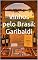 Livro Vinhos pelo Brasil: Garibaldi (Vinhos pelo Mundo)