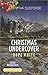 Christmas Undercover (Echo Mountain, 4)