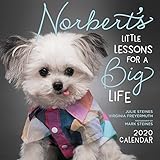Norbert's Little Lessons for a Big Life 2020 Wall Calendar by Julie Steines, Virginia Freyermuth
